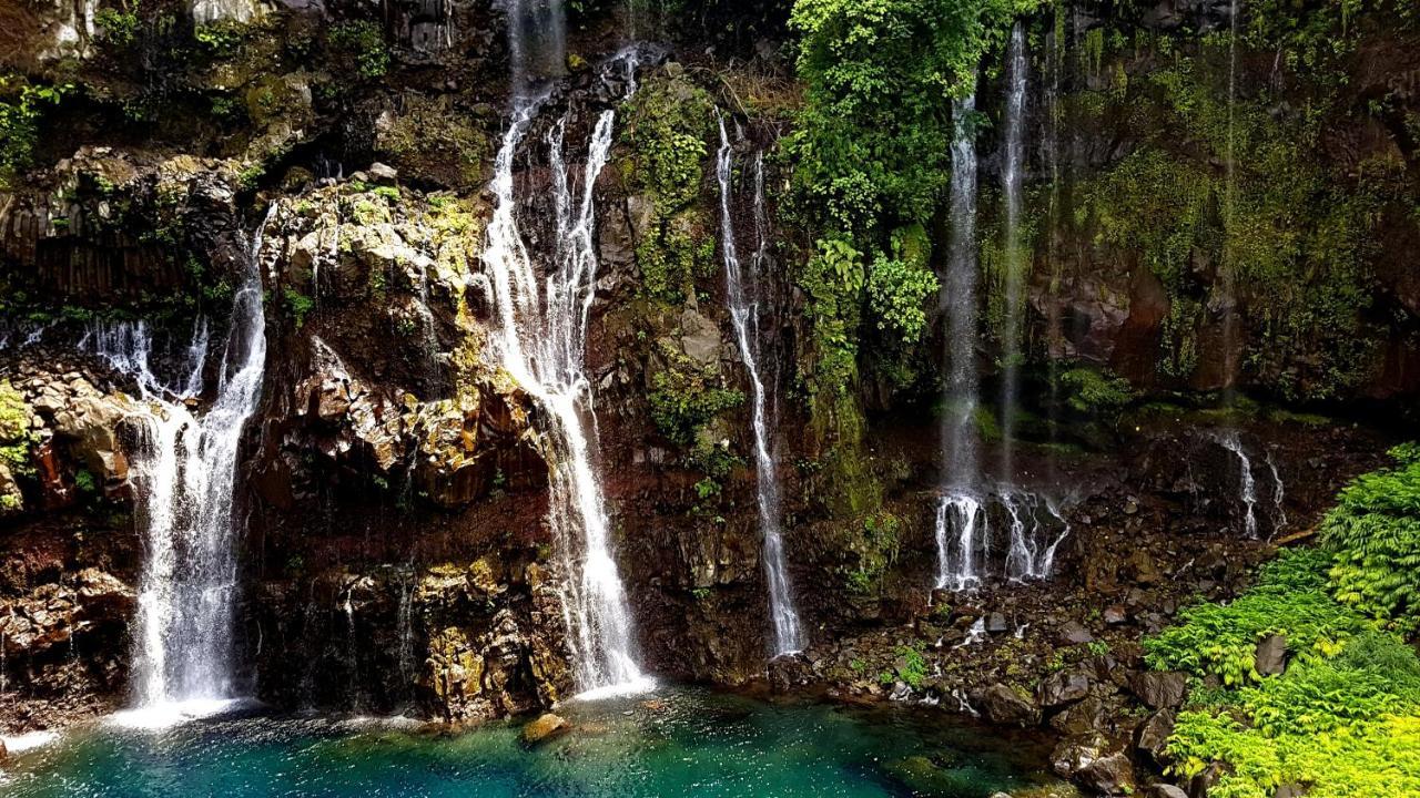Le Gecko Vert Manapany-les Bains Kültér fotó